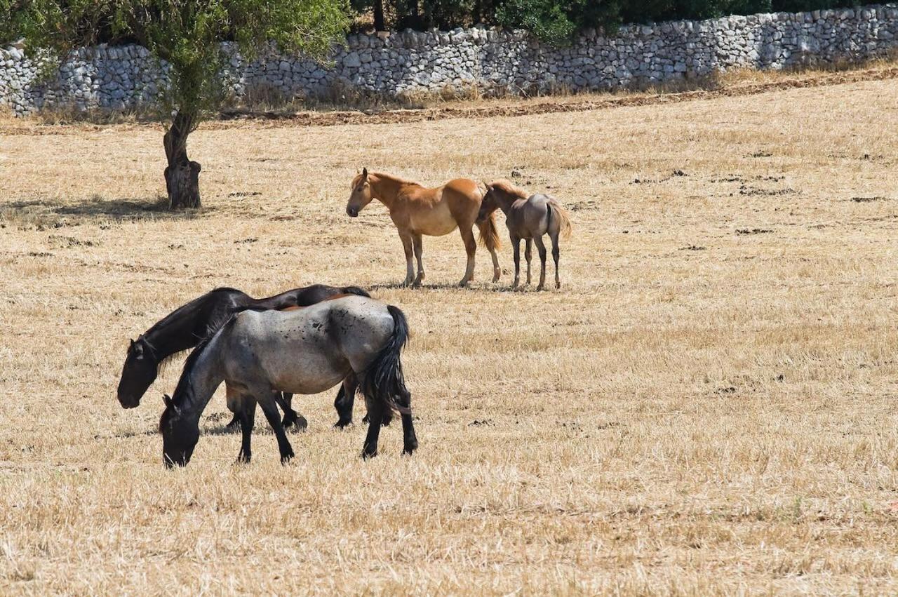 Boara Resort Mottola Kültér fotó